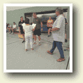 Volleyballturnier zum Schuljahresabschluss am 25.06.2025